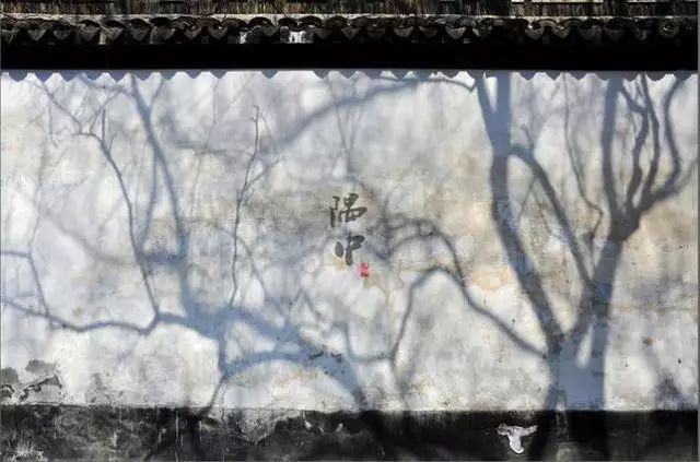 20171115210531_1l8aec6jem.png?v=1762063301265