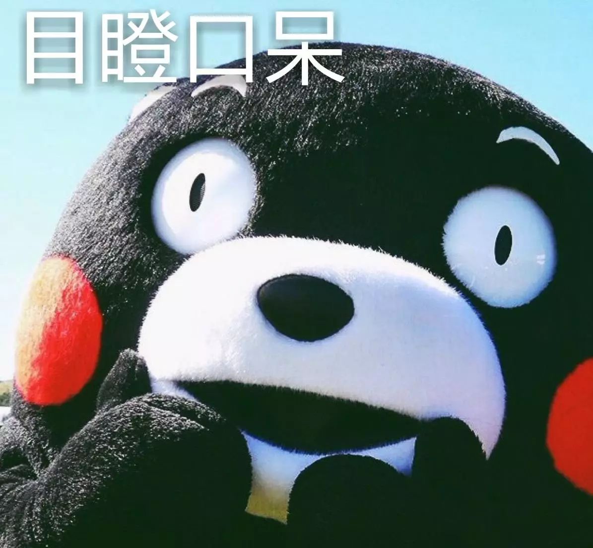 新车搭载两种调校的