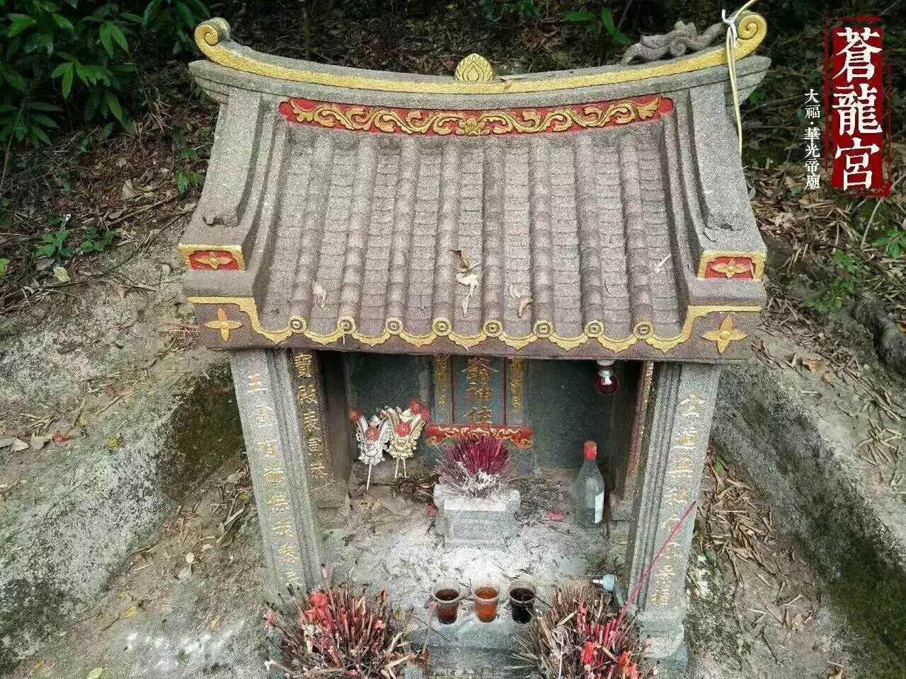 护国公秦琼_护国公府被抄家流放的小说_护国公