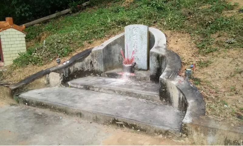 护国公_护国公府被抄家流放的小说_护国公秦琼