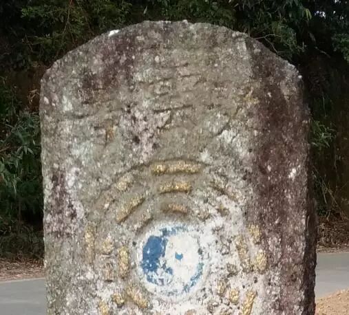 护国公_护国公秦琼_护国公府被抄家流放的小说