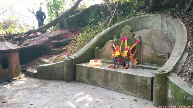 护国公_护国公秦琼_护国公府被抄家流放的小说