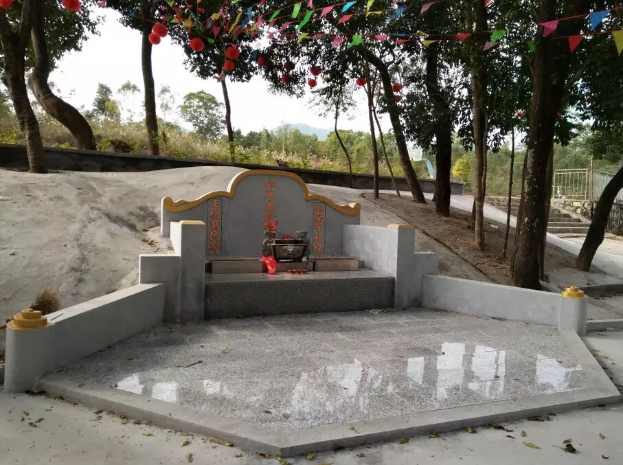 护国公_护国公秦琼_护国公府被抄家流放的小说