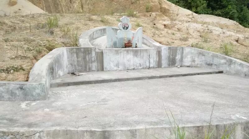 护国公_护国公秦琼_护国公府被抄家流放的小说