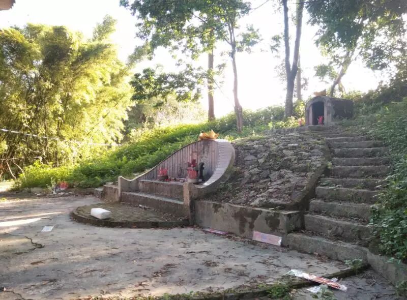 护国公秦琼_护国公府被抄家流放的小说_护国公