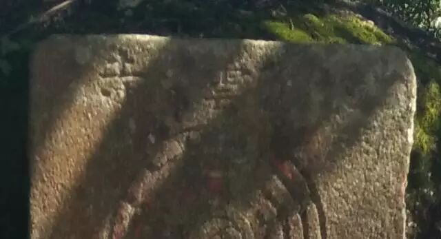 护国公_护国公府被抄家流放的小说_护国公秦琼