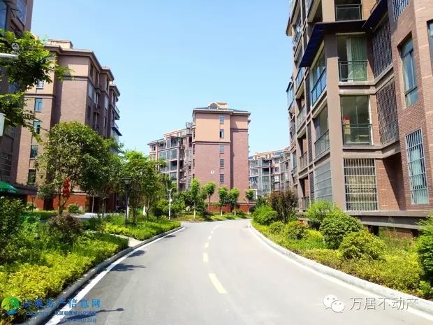 小区园景实拍