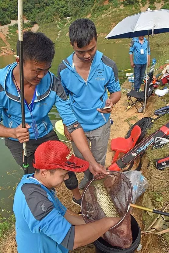 中国万峰湖野钓大赛开幕500余名野钓高手一比高低!奖金高达12万