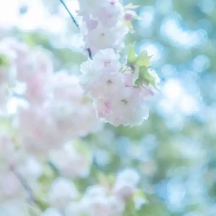广西中专中职学校怎么样-高职学校的专业有哪些-有名气的职业技术学校