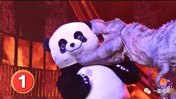 10张特别