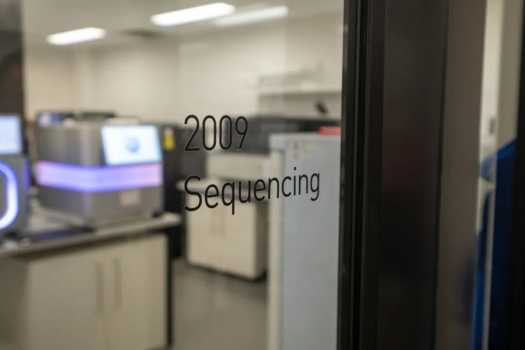 测序实验室