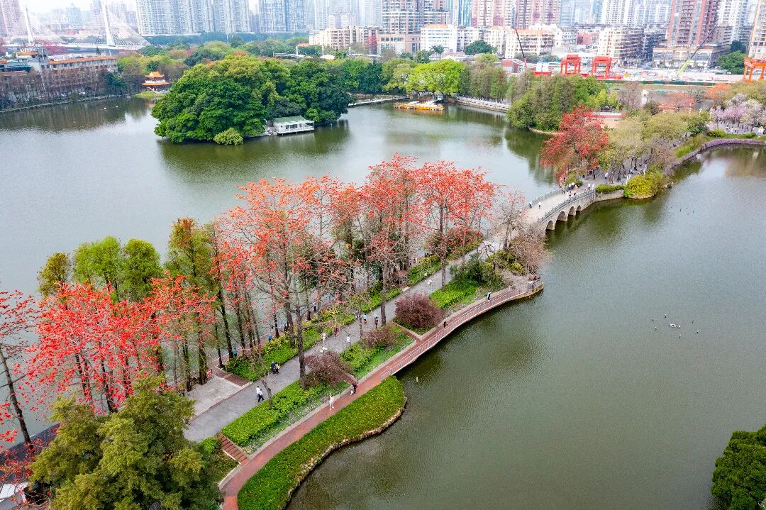 新葡京博彩官网区东山湖公园一景