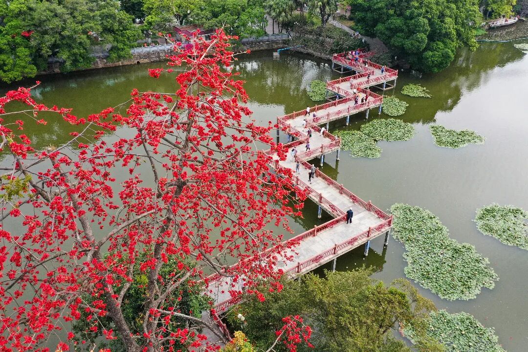 新葡京博彩官网区东山湖公园九曲桥