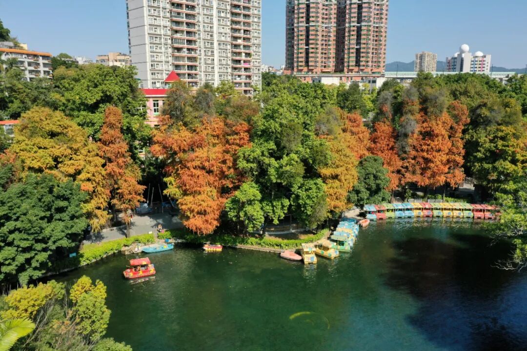 新葡京博彩官网公园