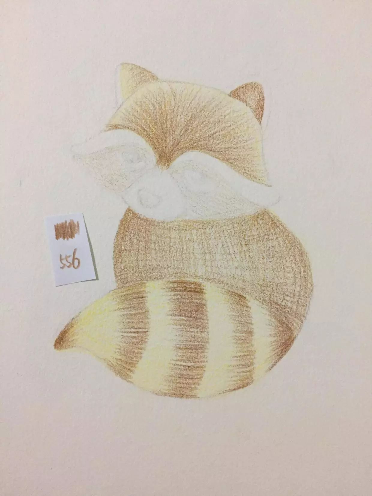 彩铅教程 | 画一只萌萌哒小浣熊(马可油性48色带色号)