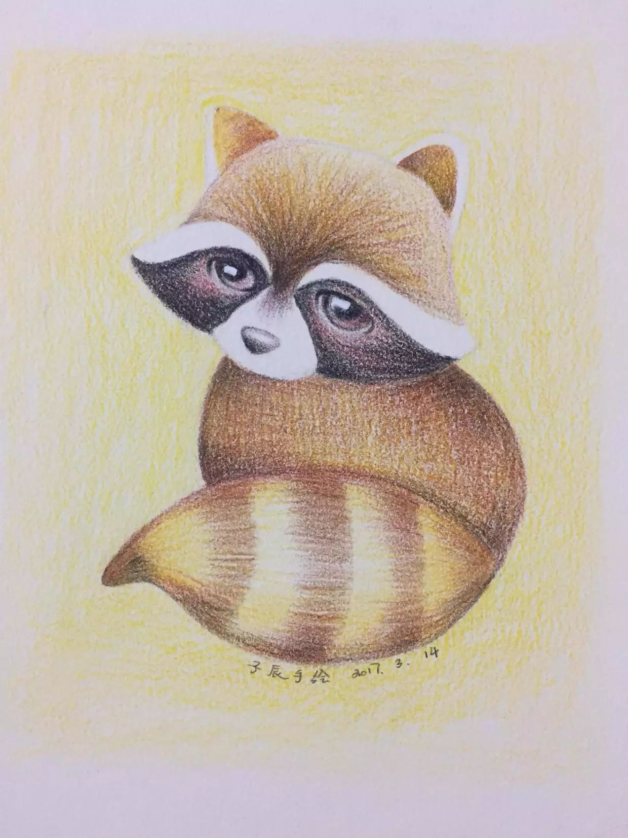 彩铅教程 | 画一只萌萌哒小浣熊(马可油性48色带色号)