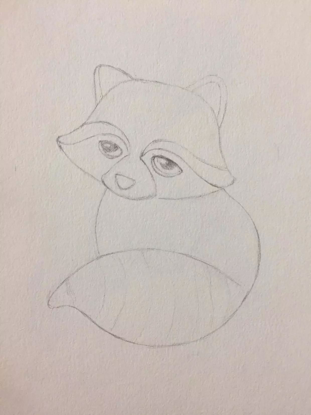 彩铅教程 | 画一只萌萌哒小浣熊(马可油性48色带色号)