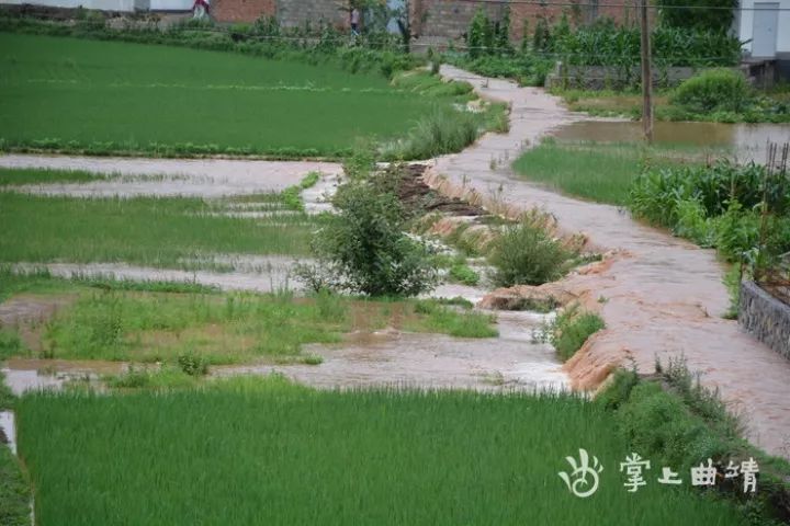 1万元!会泽县12个乡镇遭受洪涝灾害图片