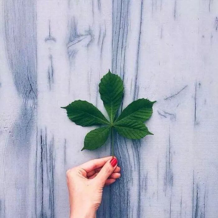 清清浅浅人生路，简简单单随缘行