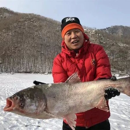 【森工旅游】柴河威虎山雪村:年味儿足,人气旺!