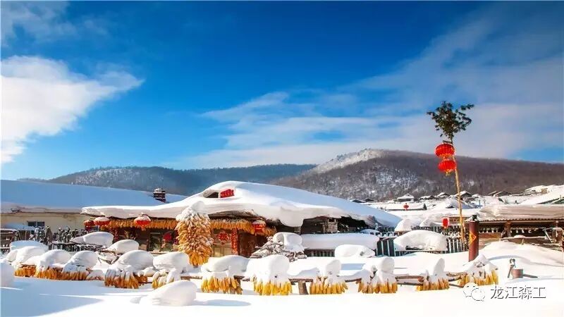 雪村怎么那么美...