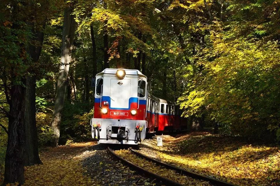 匈牙利6条可以欣赏自然美景的森林火车线路