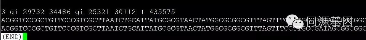 上下行速率是什么意思_grep上下几行_grep–vgrep