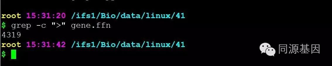 上下行速率是什么意思_grep–vgrep_grep上下几行