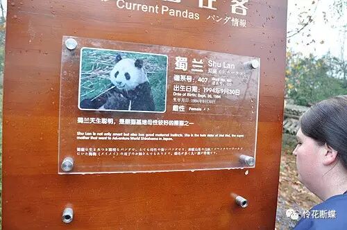 美食四川图片真实_四川美食图片_美食四川图片大全