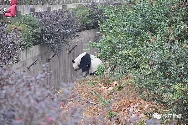 美食四川图片大全_四川美食图片_美食四川图片真实
