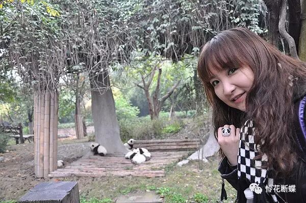 美食四川图片大全_四川美食图片_美食四川图片真实