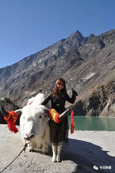 四川美食图片_美食四川图片大全_美食四川图片真实