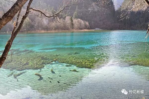 美食四川图片真实_美食四川图片大全_四川美食图片