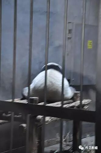 四川美食图片_美食四川图片真实_美食四川图片大全