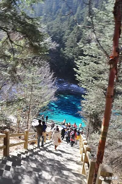 美食四川图片真实_美食四川图片大全_四川美食图片