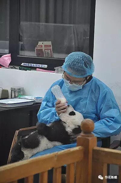 美食四川图片大全_美食四川图片真实_四川美食图片