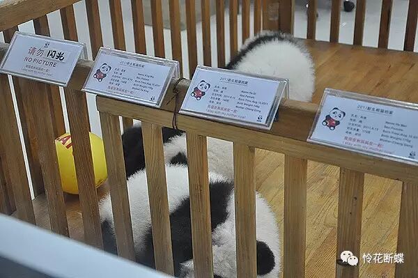 美食四川图片真实_美食四川图片大全_四川美食图片