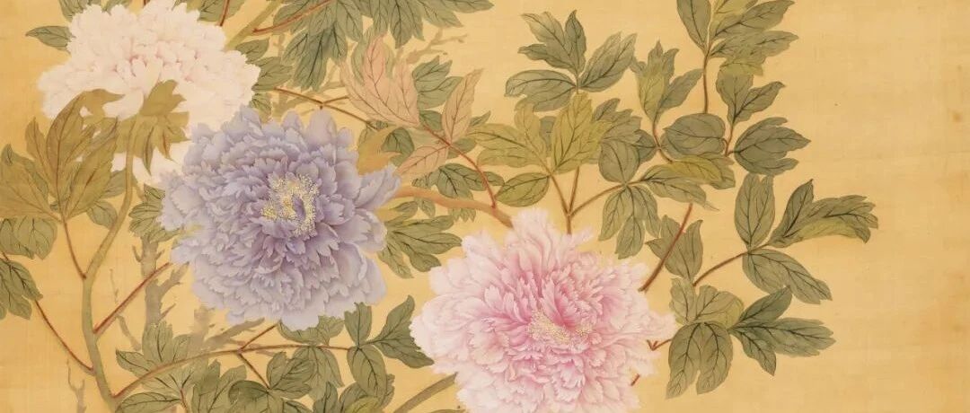 ͽ ѹʿĳй黭ƷԺռղͼƬ