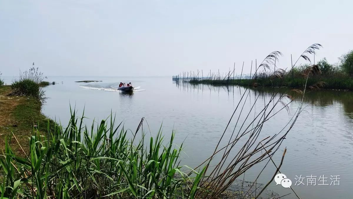 当时,为了使修建宿鸭湖水库的工程任务完成得多,好,快,省,工程指挥部