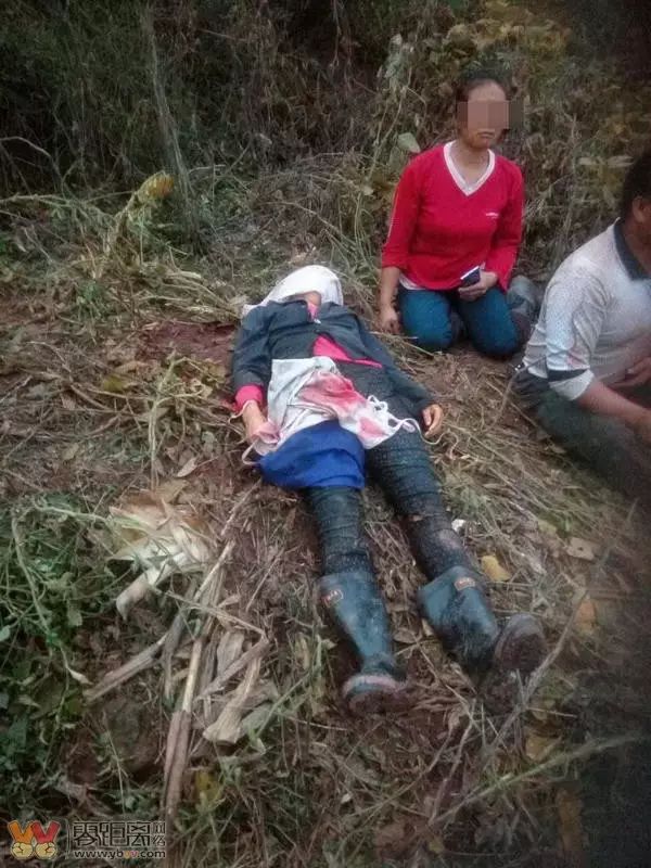 昨(23日),在宜宾县双龙镇捧印乡昨天下午发生一起野猪咬死人的事件