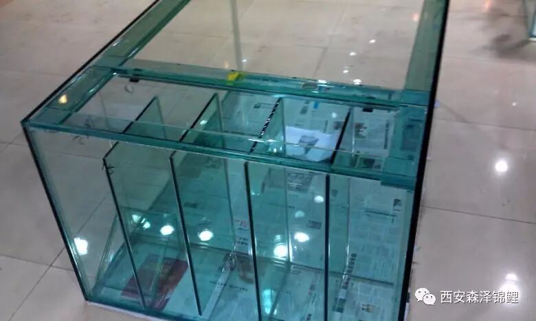 能给您省钱的锦鲤地缸全套图纸