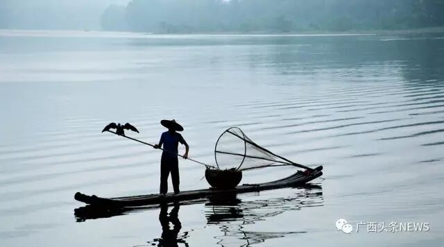 桂林国际旅游度假村_香港特首_桂林度假村旅游攻略