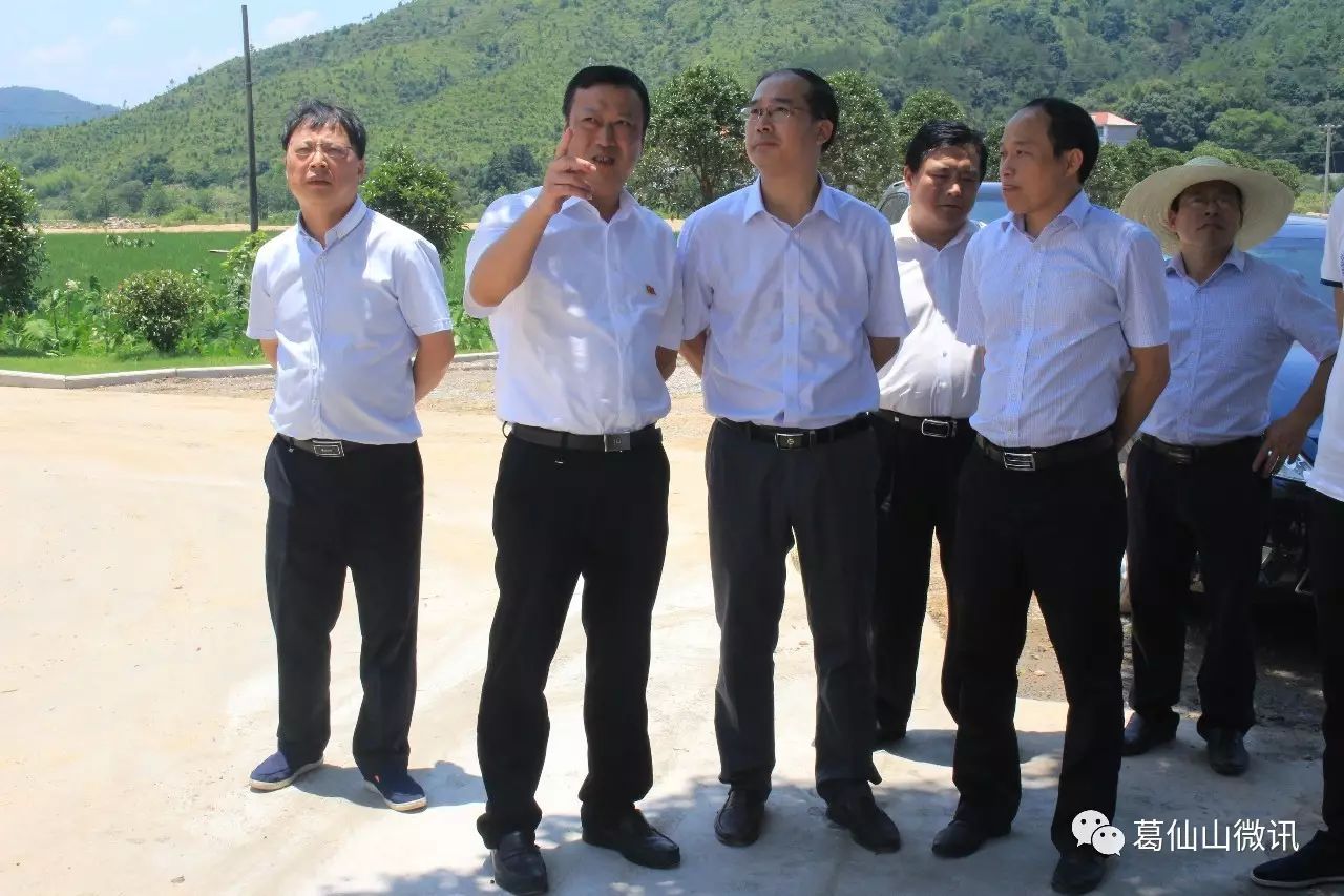 上饶市委农工部部长杨文彪一行来葛仙山调研秀美乡村