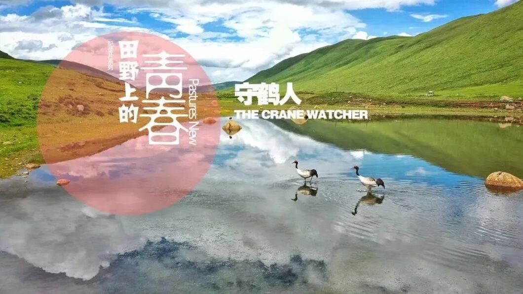 纪录乡村振兴实力担当 感受田野之上火热生活-2