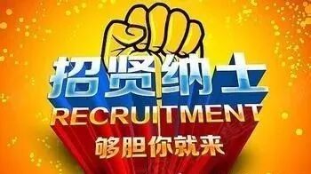 金池置业招募令