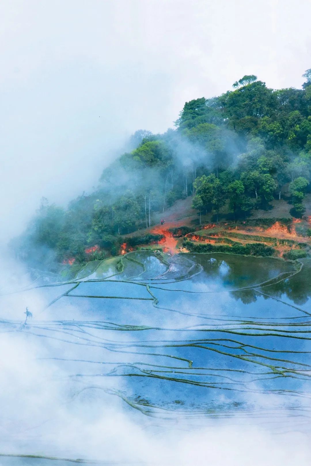 美只此青绿撞上红河山水惊艳了时光