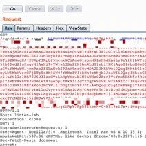 Example Image