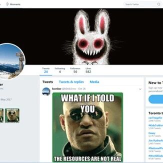 Example Image