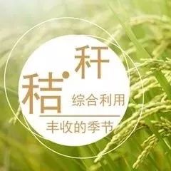 【农业要闻】陆昊主持召开省政府专题会议 进一步增加投入做好秸秆综合利用工作