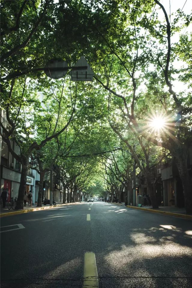 the photographs of jing'an 静安马路街拍 上海展览中心徐玉青 街头